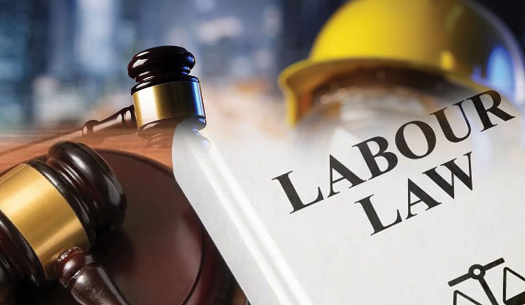 Centre transforms 29 labour laws with four labour codes: Union Labour Minister Bhupendra Yadav