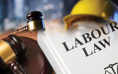 Centre transforms 29 labour laws with four labour codes: Union Labour Minister Bhupendra Yadav